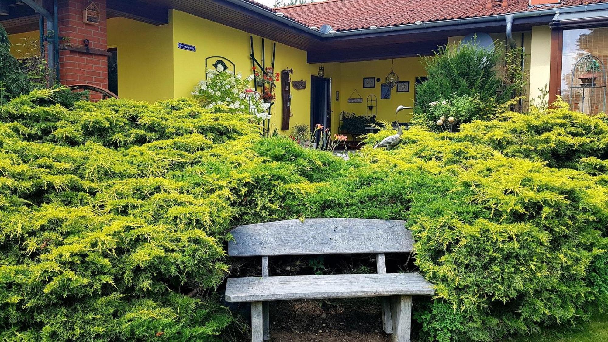 Ferienwohnung Guenther , 3 - Sterne Waren  Kültér fotó